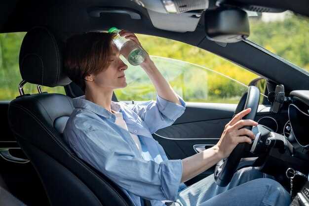 Preparativos antes de conducir en condiciones de nieve