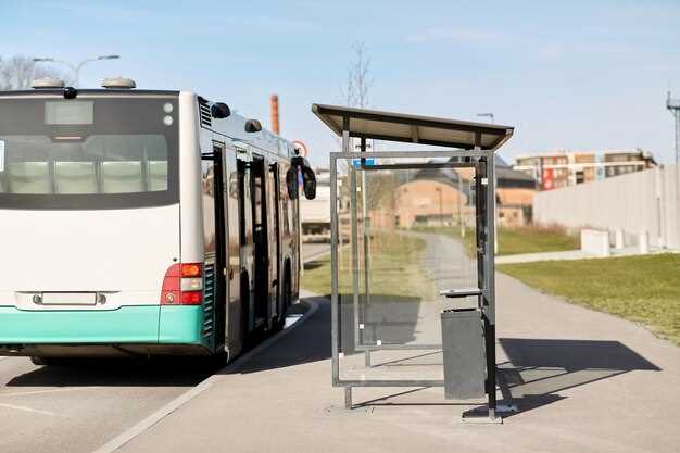 Costos y tarifas: análisis comparativo de precios entre ambos servicios de transporte